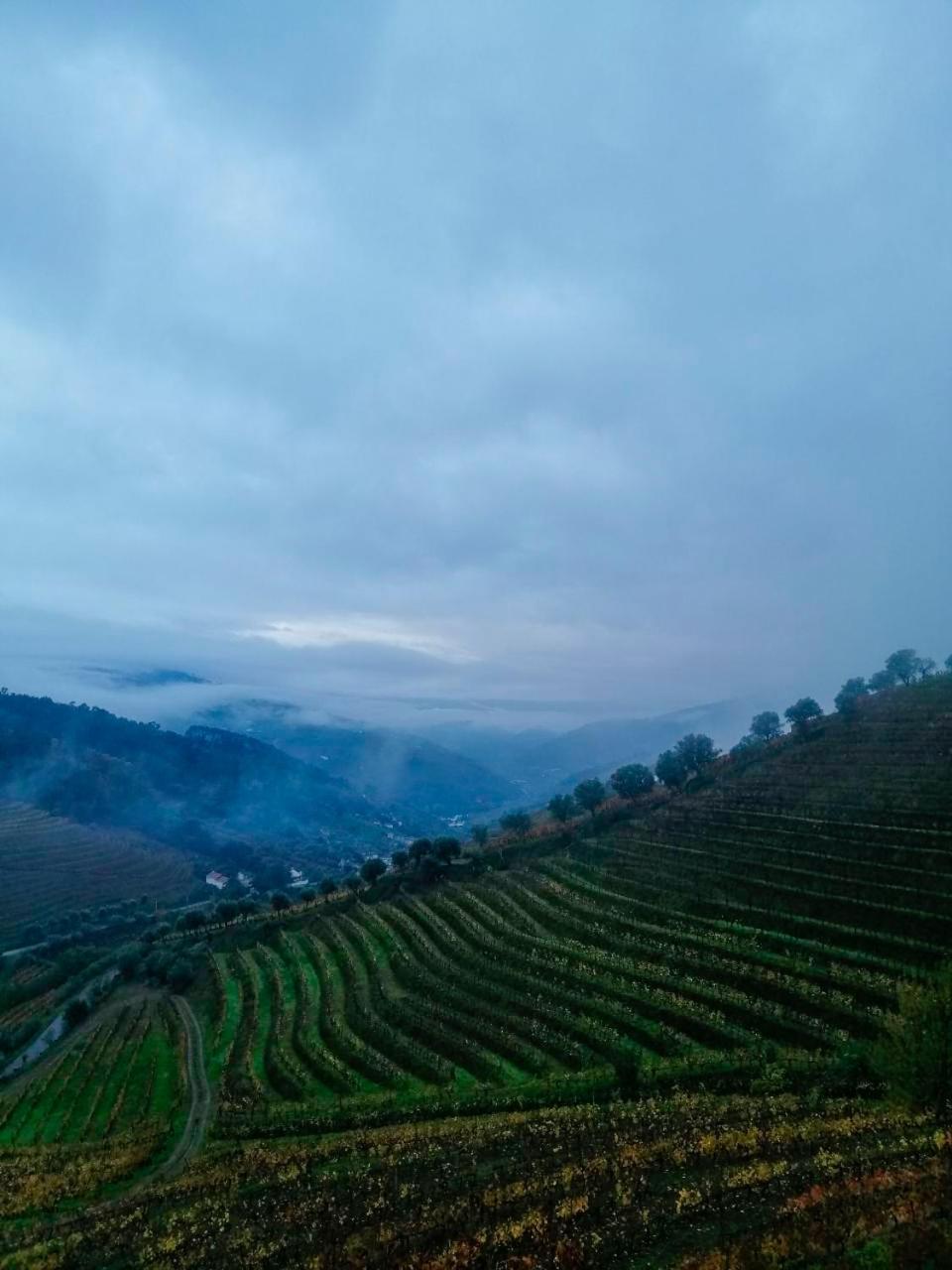 Vila MarimQuinta De Baixo别墅 外观 照片