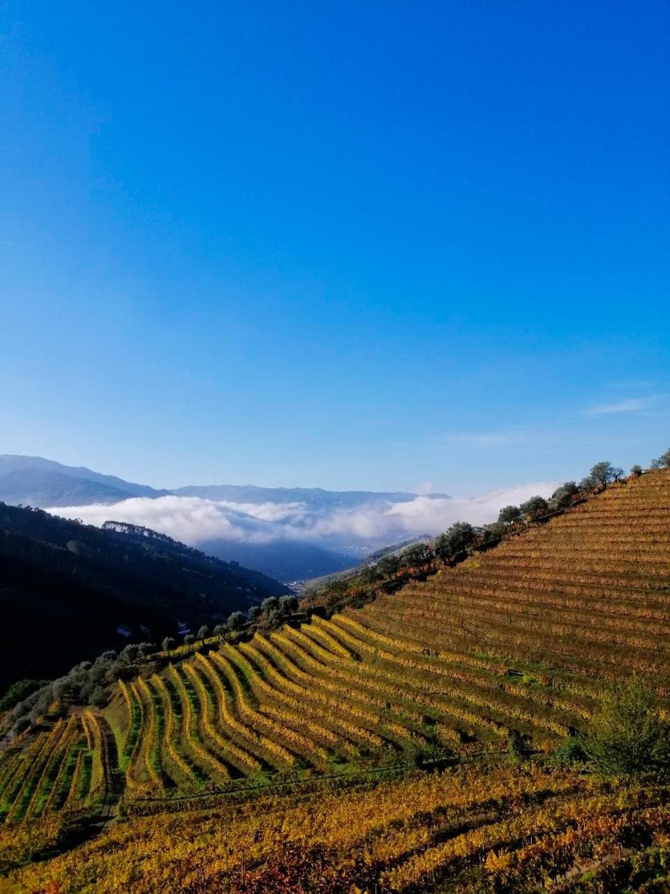 Vila MarimQuinta De Baixo别墅 外观 照片