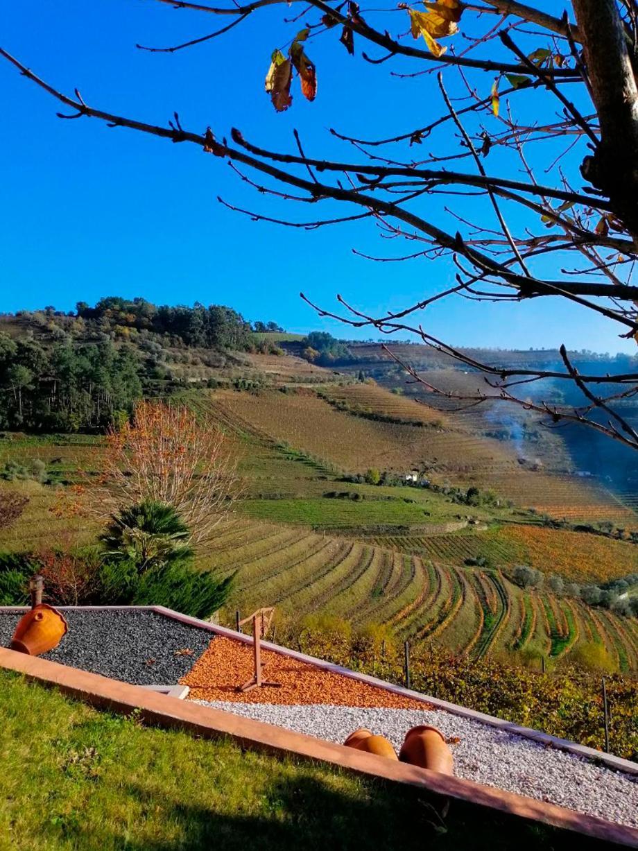 Vila MarimQuinta De Baixo别墅 外观 照片