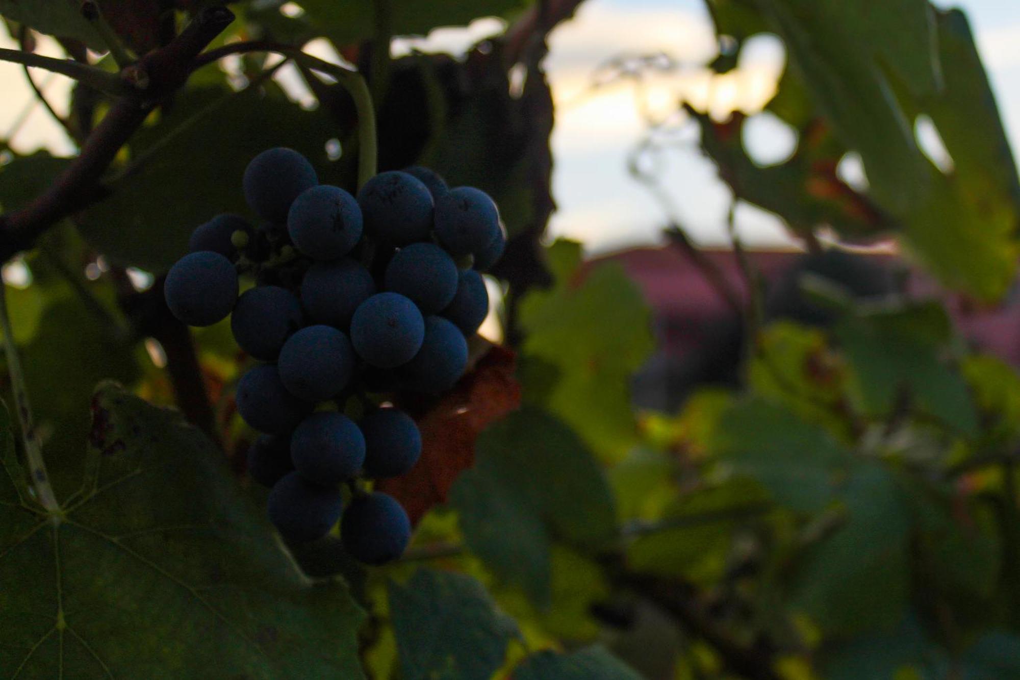 Vila MarimQuinta De Baixo别墅 外观 照片