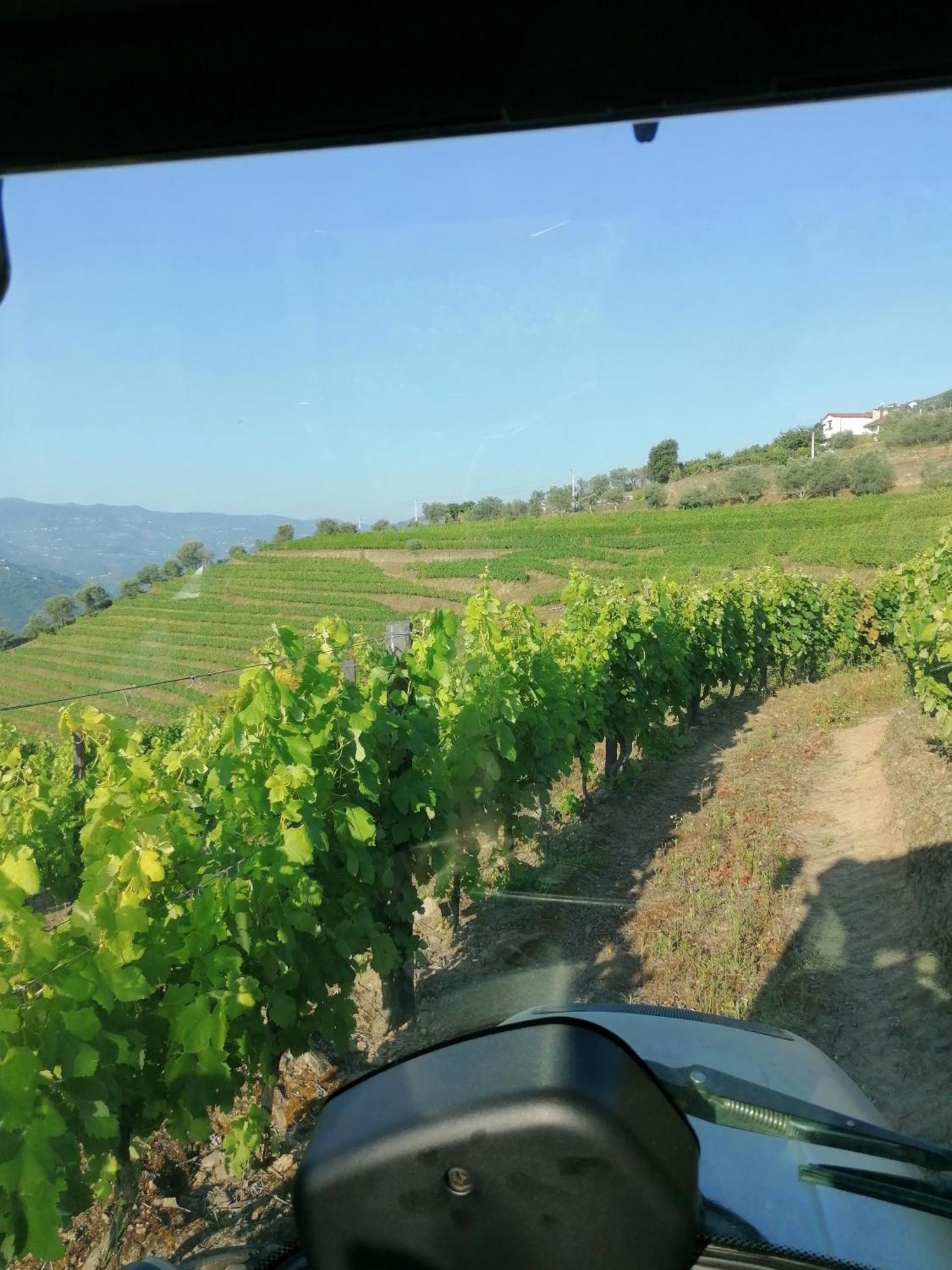 Vila MarimQuinta De Baixo别墅 外观 照片