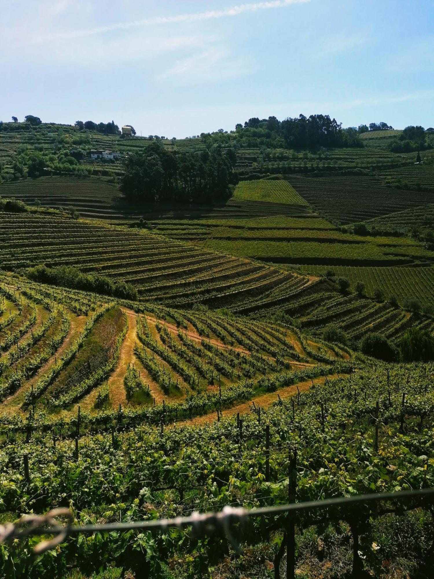 Vila MarimQuinta De Baixo别墅 外观 照片
